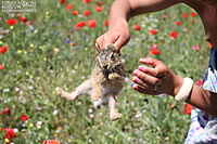 Fascinating hairy sexy nude russian women