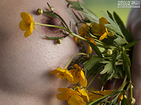 Teen romantic gallerys free amour angels pics of younger in a hammock