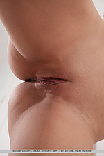 Free softcore photography female pictures natural tits teen thumbs